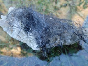 ����������, �����. ������������ ������. �������� � �������������. webmineral.ru