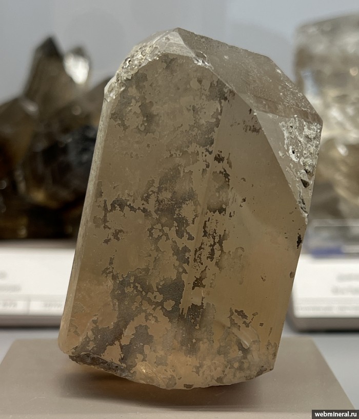 ���������� �������� �����. ���������-��������� ������������ ����.