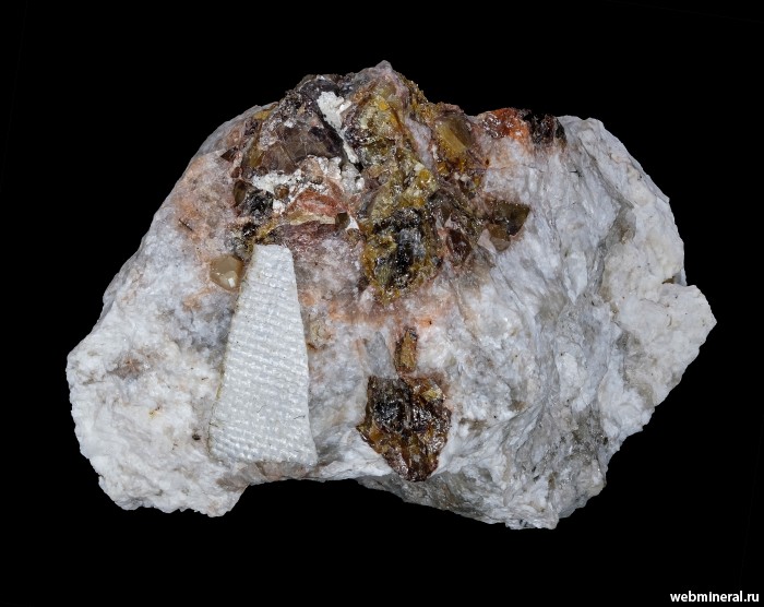 ���������� �������� ����������, ��������, ������. ���� � 5.