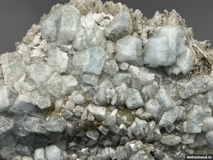 ���������� �������� �������. ��� ������.