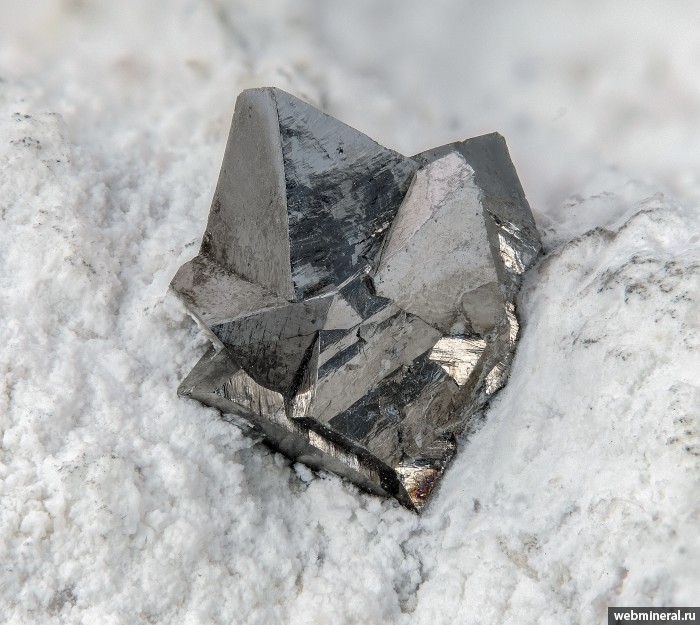 ���������� �������� �����������. ��� ������.