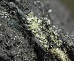 ��������. ������� ����. �������� � �������������. webmineral.ru