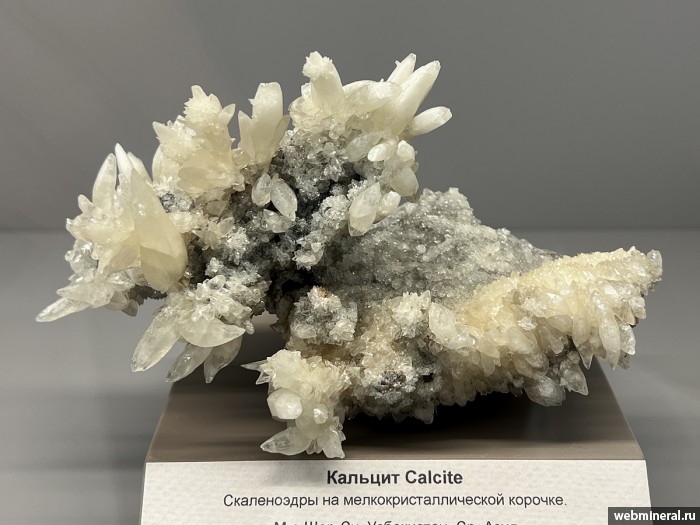 ���������� �������� �������. ����� (S) �������������.