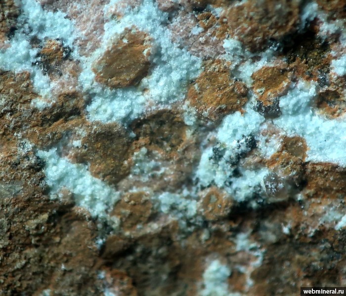 ���������� �������� �������. ���������� ����.