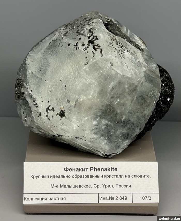 ���������� �������� �������. ���������� (�����������) �������������.