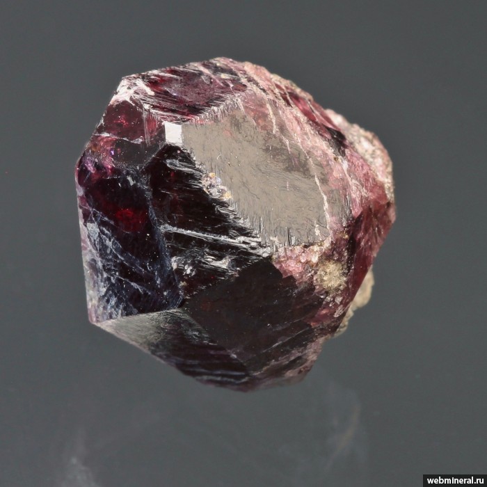 ���������� �������� ���������. ���������� ������������� ����������.