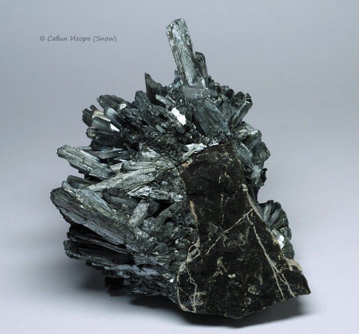   . Wuning, Jiangxi, China ().