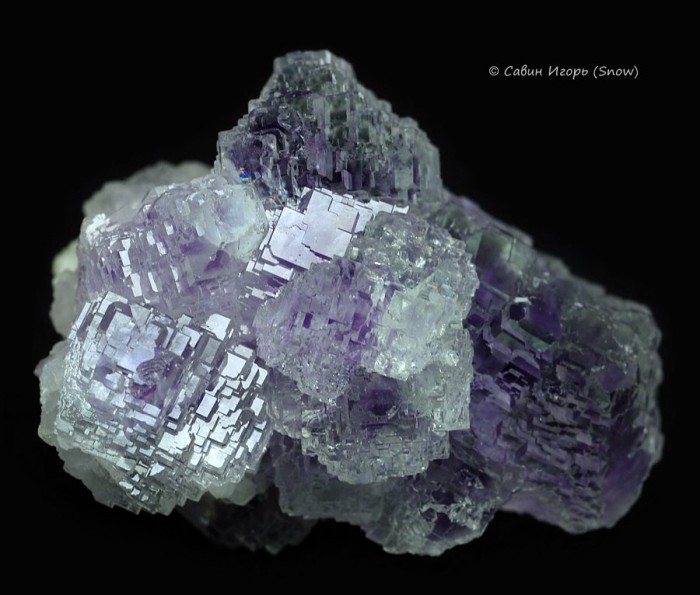 ���������� �������� �������.  Shangbao, Hunan, China (�����).