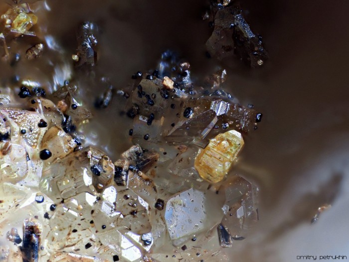 ���������� �������� ����������. ������������ ��������.