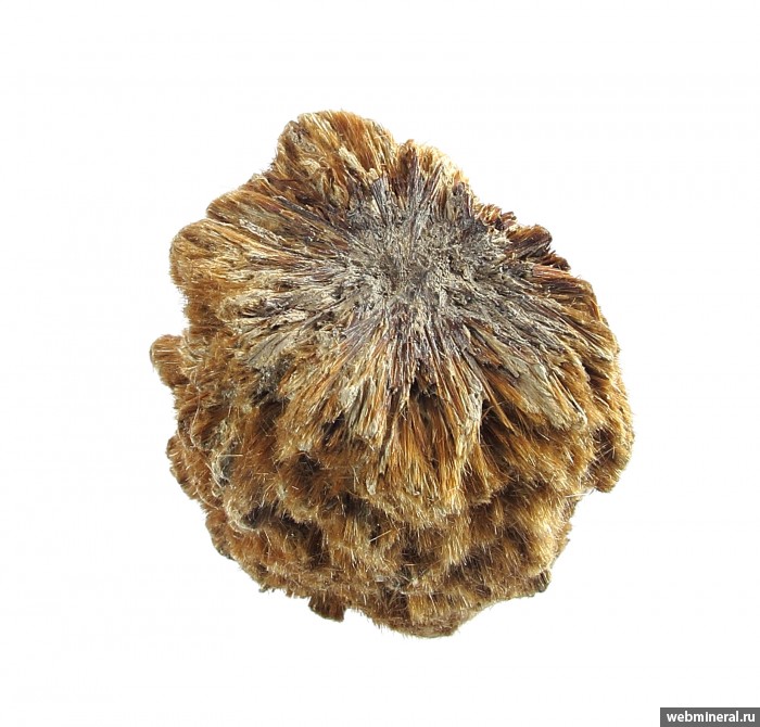 ���������� �������� �����������. ��� ��������.