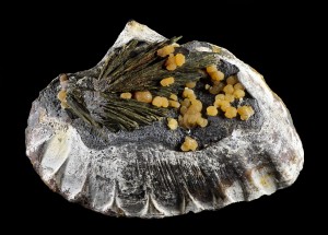 ��������, �����. ������ �. �������� � �������������. webmineral.ru