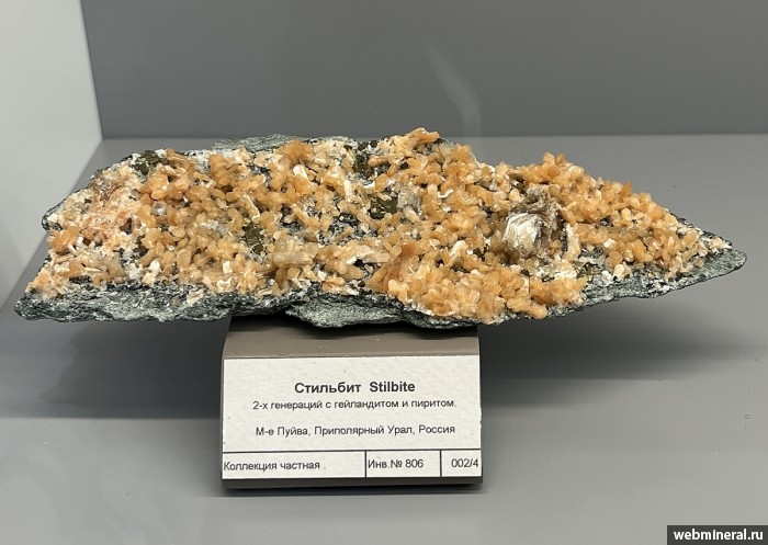 ���������� �������� ��������, �����, ���������. ����� �������������.