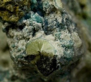 ��������, ����������, ��������. ���������� ������. �������� � �������������. webmineral.ru