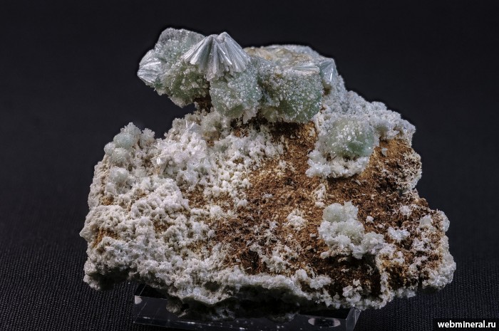 ���������� �������� ����������, �������. ���������� (Au) ������������� (������ ����).