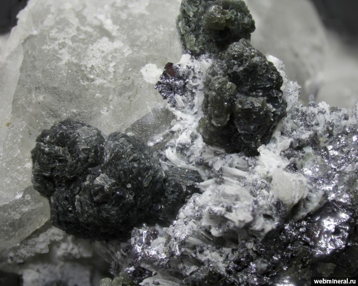 ���������� �������� �������, ������, ����������. ������� ����������.