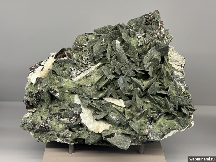 ���������� �������� �������-(Fe), �������, ������. ����� �������������.