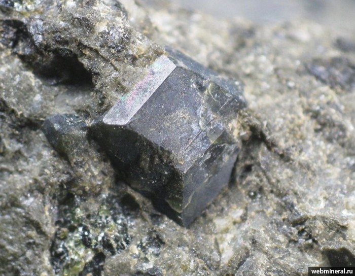 Фотография минерала Авгит. Аю-Даг гора.