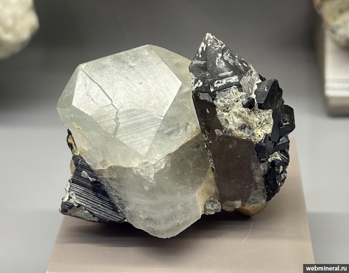 ���������� �������� �����, �����, ����������, ����������. ������� (W-Sn) �������������.