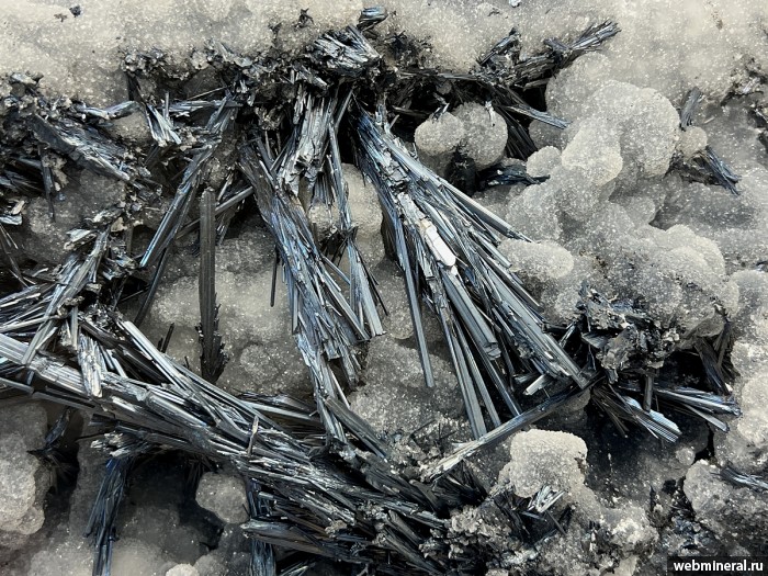 ���������� �������� ���������, �����. �������� (Sb) �������������.