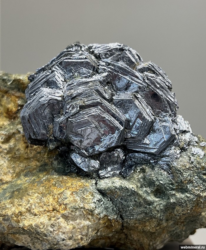 ���������� �������� ����������. ���������� ����.