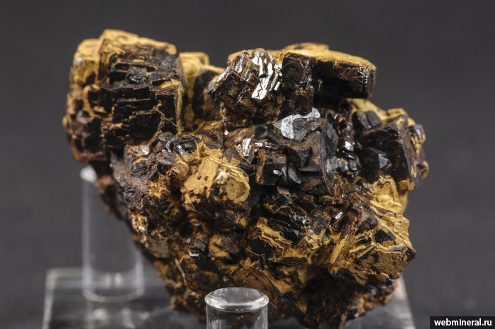 ���������� �������� �������. �������� �������������.