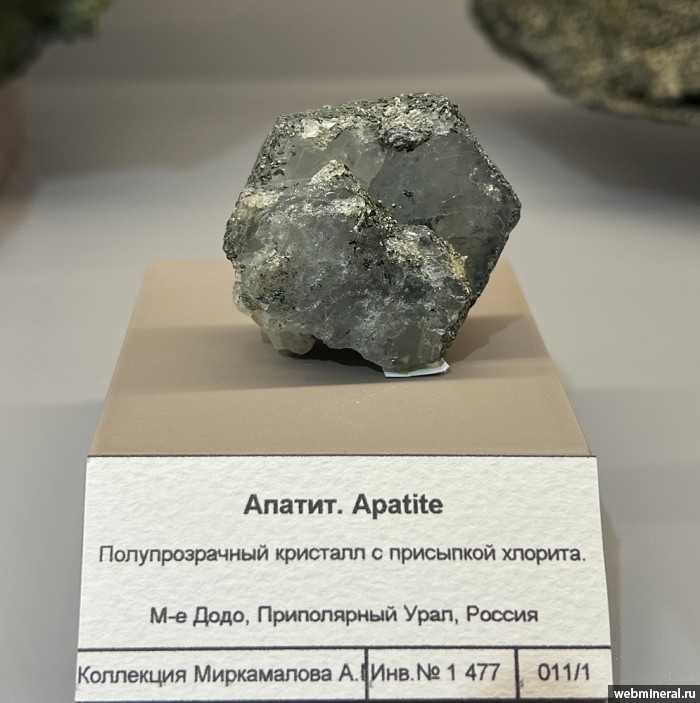 ���������� �������� ����������. ���� �������������.