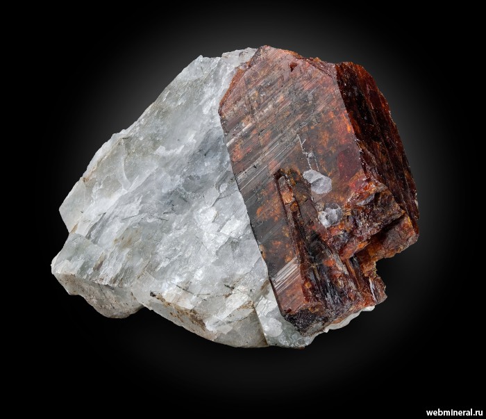 ���������� �������� ��������������. ��� ��������.