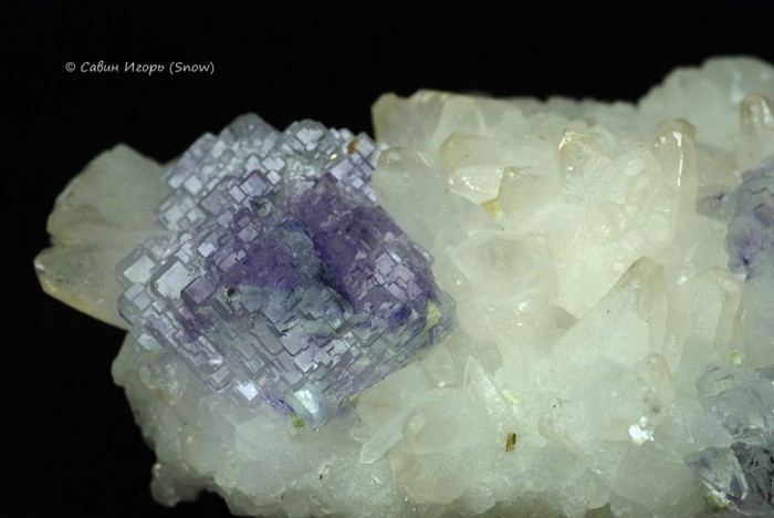 ���������� �������� �������, �������. Shangbao, Hunan, China (�����).