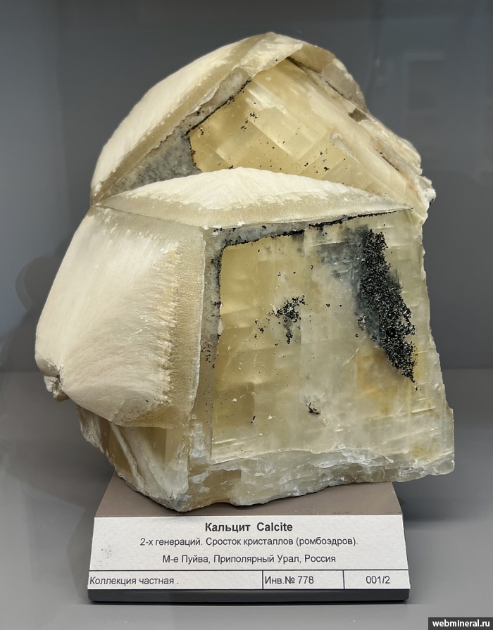 ���������� �������� �������. ����� �������������.