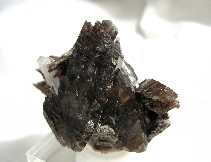 Фотография минерала Аксинит-(Mn). Дальнегорск (Дальнегорское рудное поле).