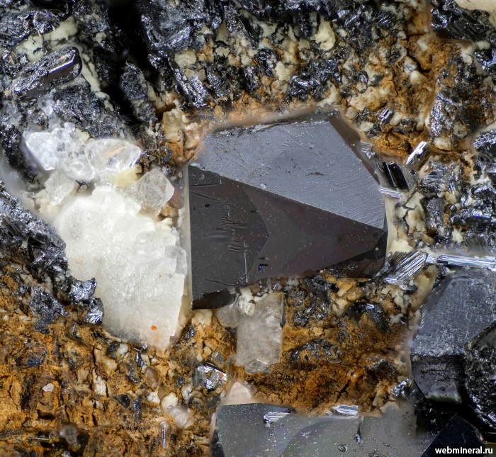 ���������� �������� ������, �����. ��������� ����.