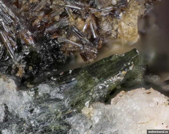 ���������� �������� �����, ������. ����� ��� � 133.