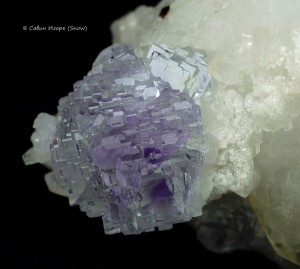 �������, �������. . �������� � �������������. webmineral.ru