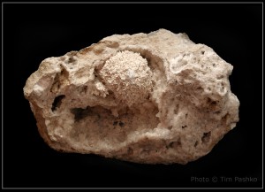 �����������, �������. ��������� (S) �������������. �������� � �������������. webmineral.ru